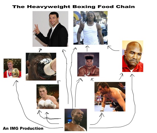 Heavyweight-Food-Chain